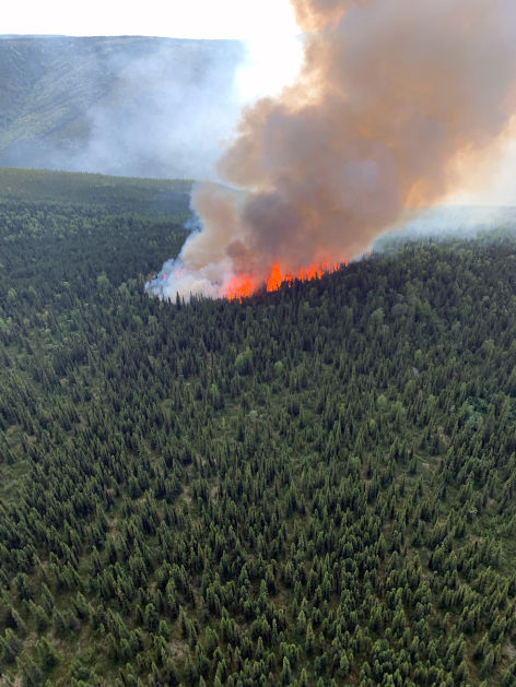 Shovel Creek Fire
